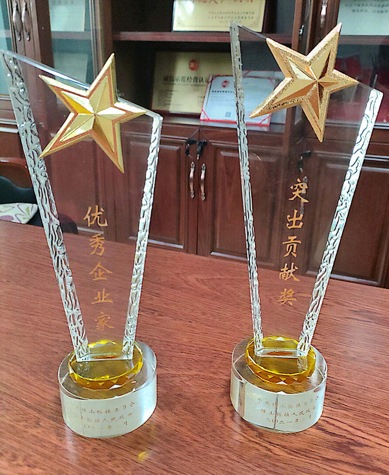 优秀企业家/突出贡献奖